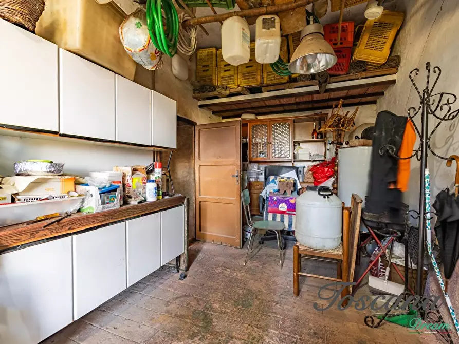 Immagine 39 di Casa colonica in vendita  a Campagnatico