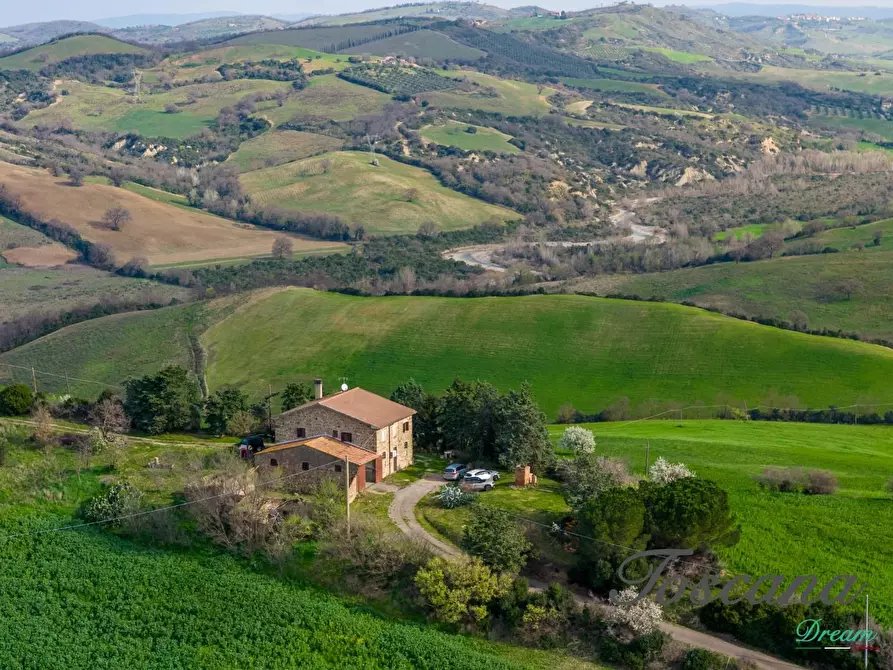 Immagine 1 di Casa colonica in vendita  a Campagnatico