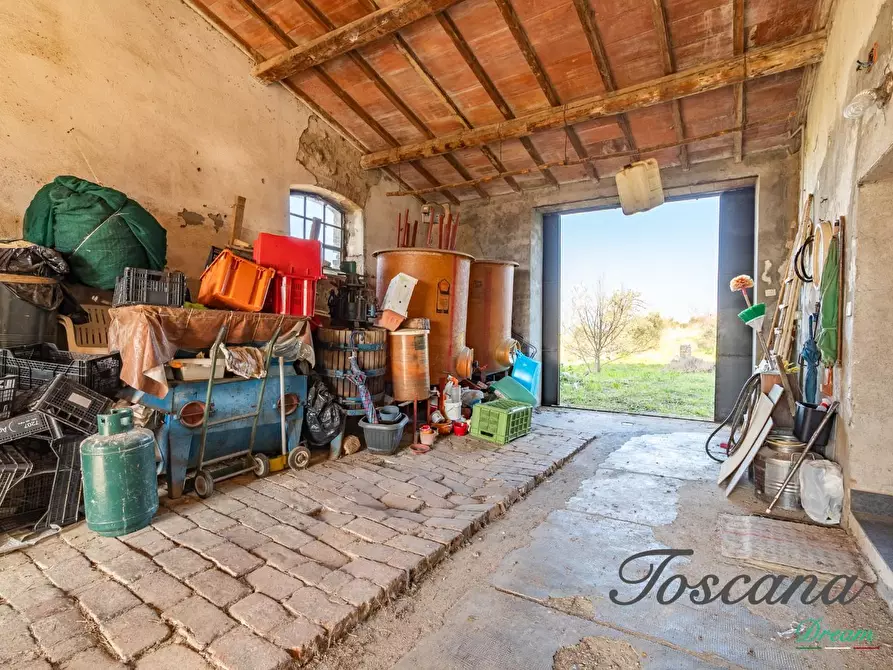 Immagine 19 di Casa colonica in vendita  a Campagnatico