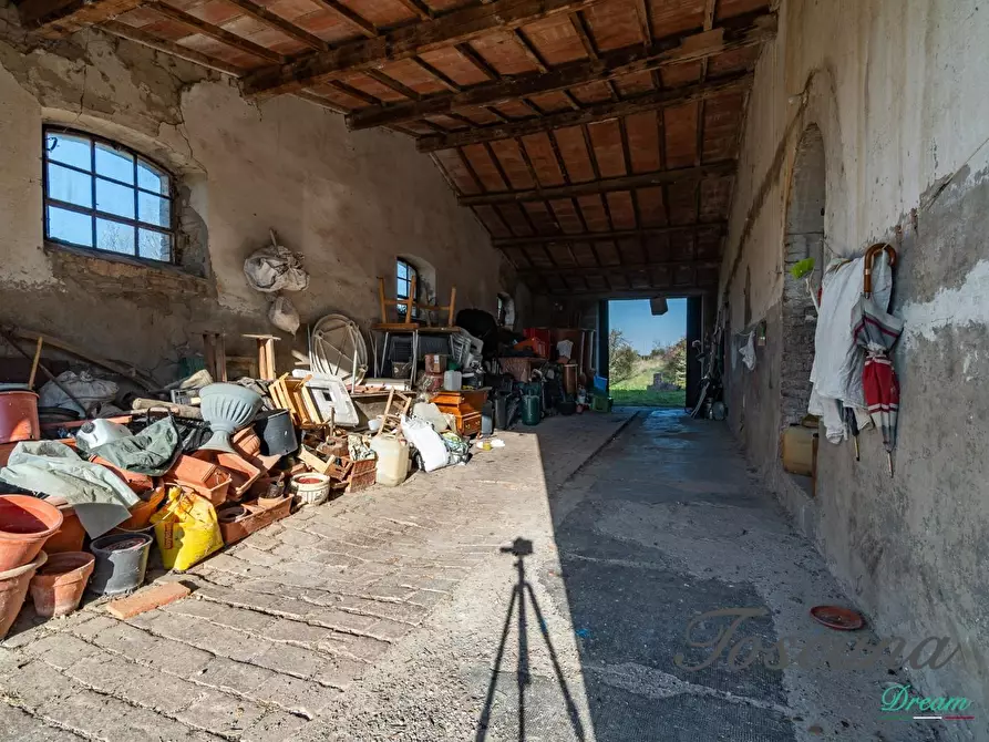 Immagine 17 di Casa colonica in vendita  a Campagnatico