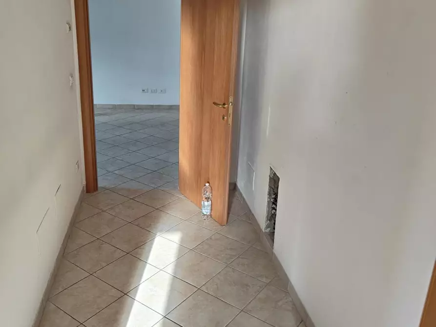 Immagine 6 di Appartamento in affitto  a Livorno