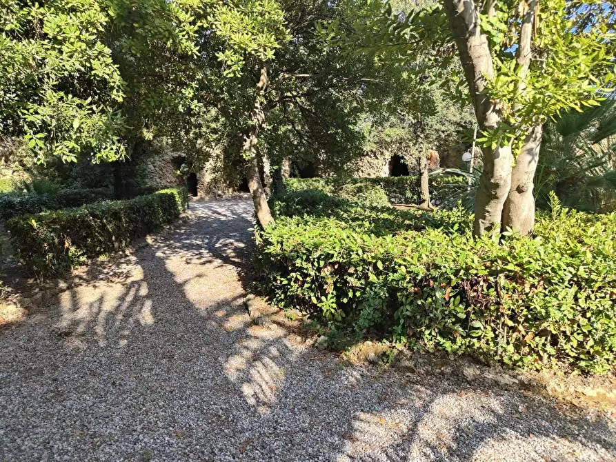 Immagine 21 di Appartamento in affitto  a Livorno