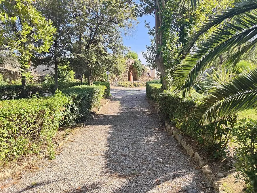 Immagine 19 di Appartamento in affitto  a Livorno