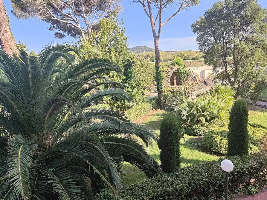Immagine 16 di Appartamento in affitto  a Livorno
