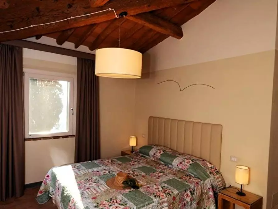 Immagine 11 di Casa colonica in vendita  a Cerreto Guidi