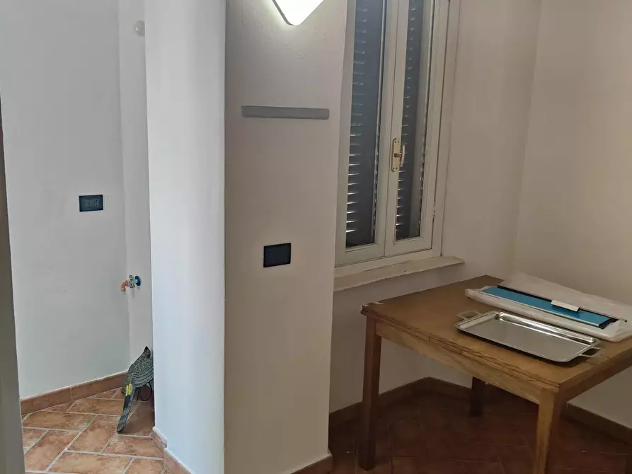 Immagine 7 di Appartamento in affitto  a Livorno