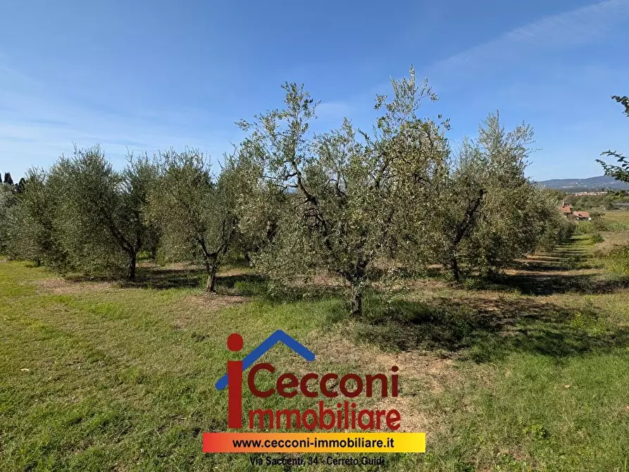 casa indipendente in vendita ad Empoli