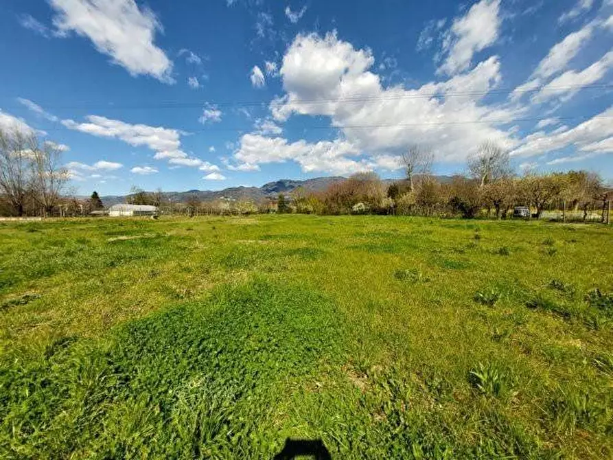 Immagine 3 di Villa in vendita  a Lucca