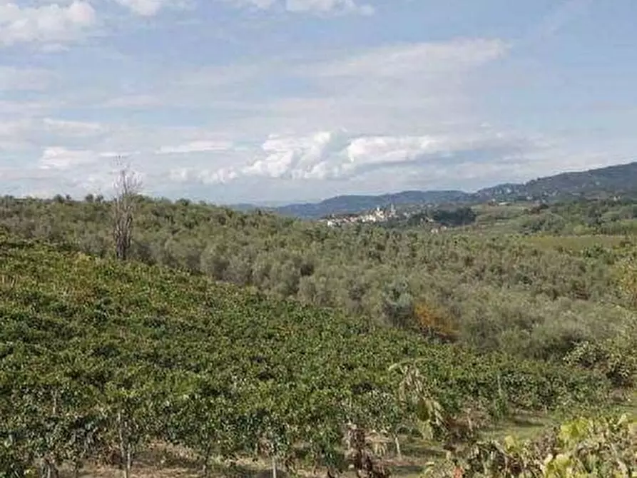 Immagine 5 di Casa colonica in vendita  a Vinci