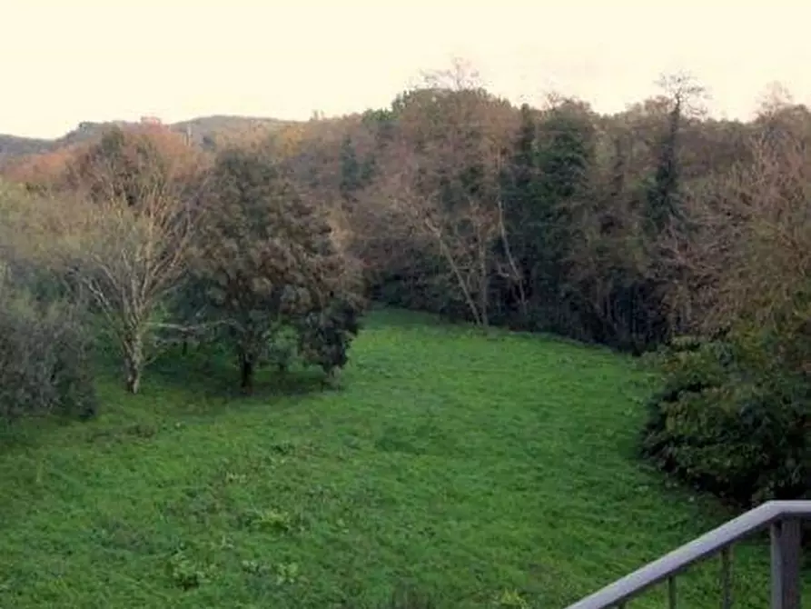 Immagine 3 di Rustico / casale in vendita  a Vinci