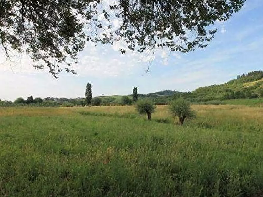 Immagine 6 di Rustico / casale in vendita  a Empoli