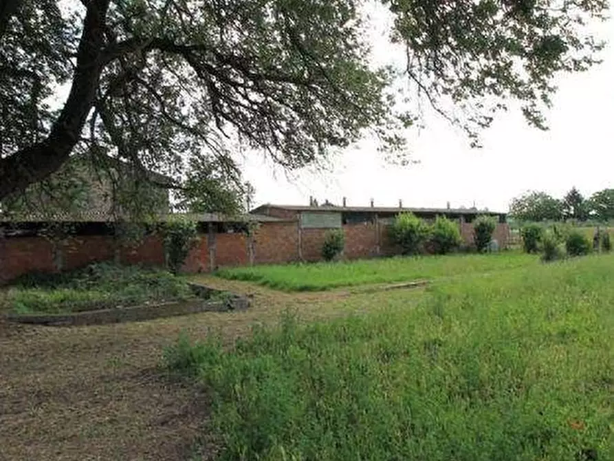 Immagine 7 di Rustico / casale in vendita  a Empoli