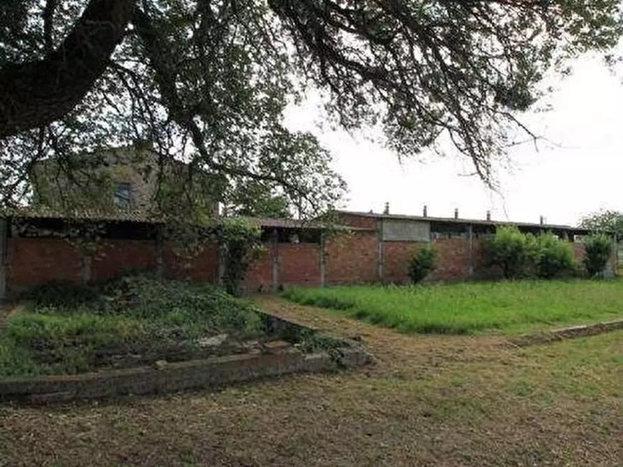 Immagine 8 di Rustico / casale in vendita  a Empoli