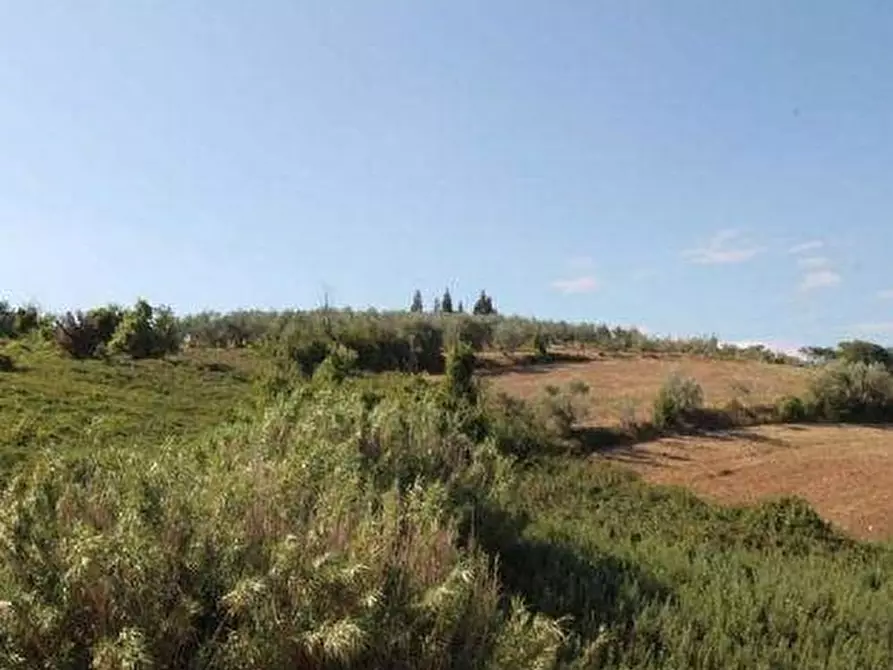 Immagine 18 di Appartamento in vendita  a Vinci