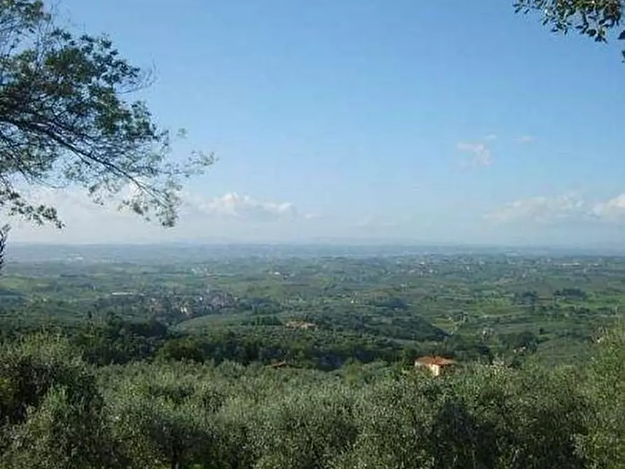 Immagine 7 di Casa colonica in vendita  a Vinci