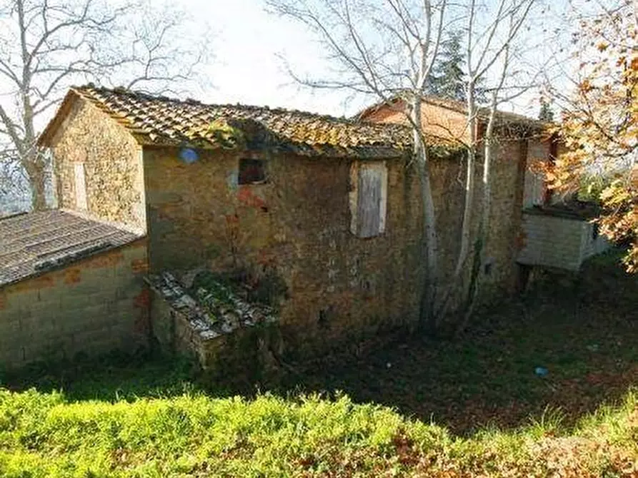 Immagine 9 di Casa colonica in vendita  a Vinci