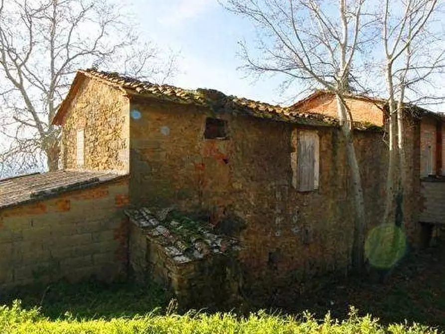 Immagine 3 di Casa colonica in vendita  a Vinci