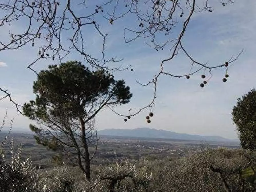 Immagine 12 di Casa colonica in vendita  a Vinci