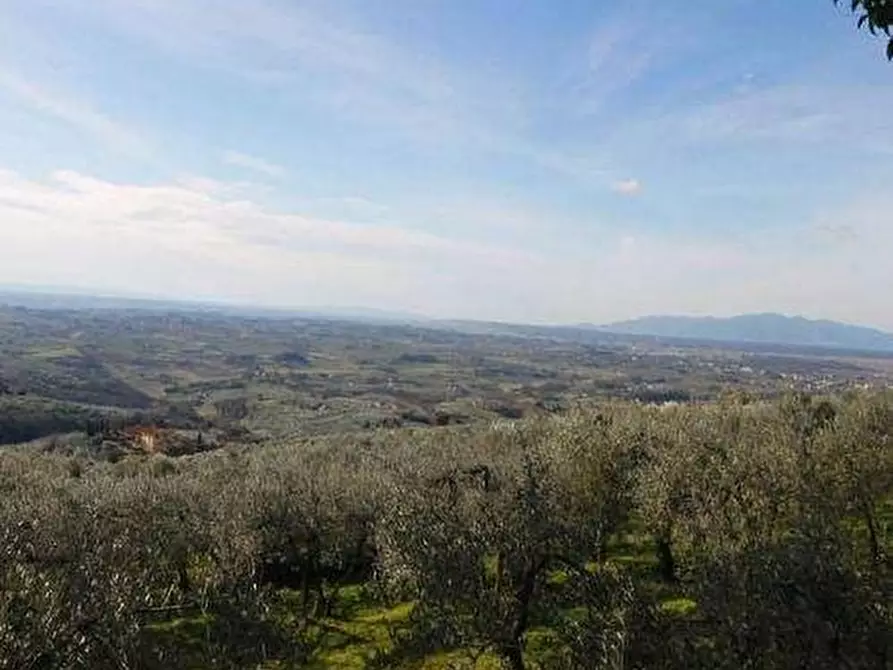 Immagine 2 di Casa colonica in vendita  a Vinci