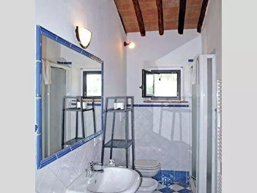 Immagine 17 di Casa colonica in vendita  a Vinci