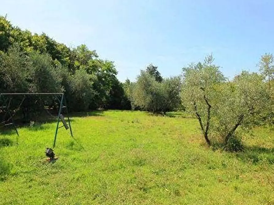 Immagine 15 di Casa colonica in vendita  a Vinci