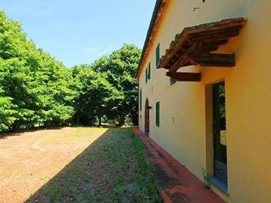 Immagine 3 di Casa colonica in vendita  a Vinci