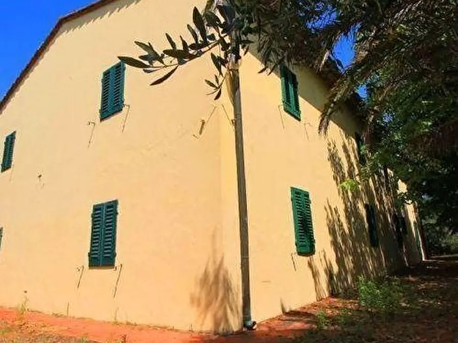 Immagine 4 di Casa colonica in vendita  a Vinci