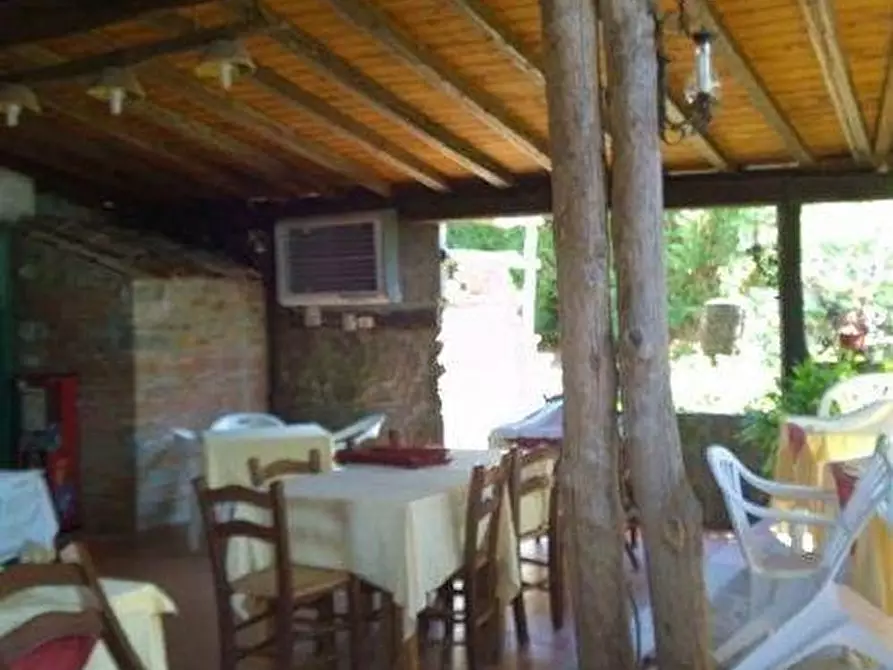 Immagine 7 di Casa colonica in vendita  a Vinci