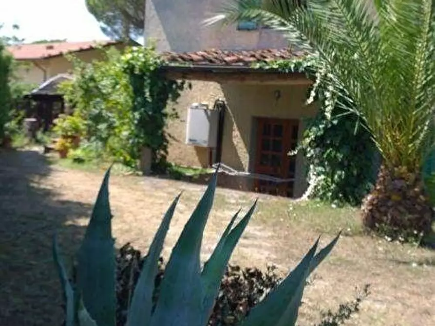 Immagine 8 di Casa colonica in vendita  a Vinci