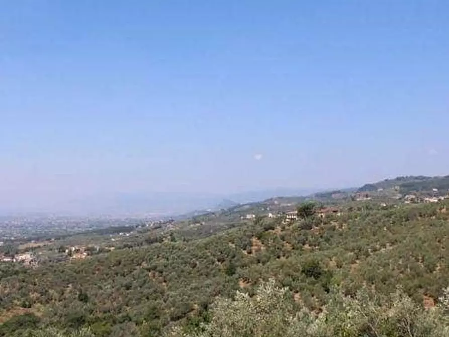 Immagine 2 di Casa colonica in vendita  a Vinci