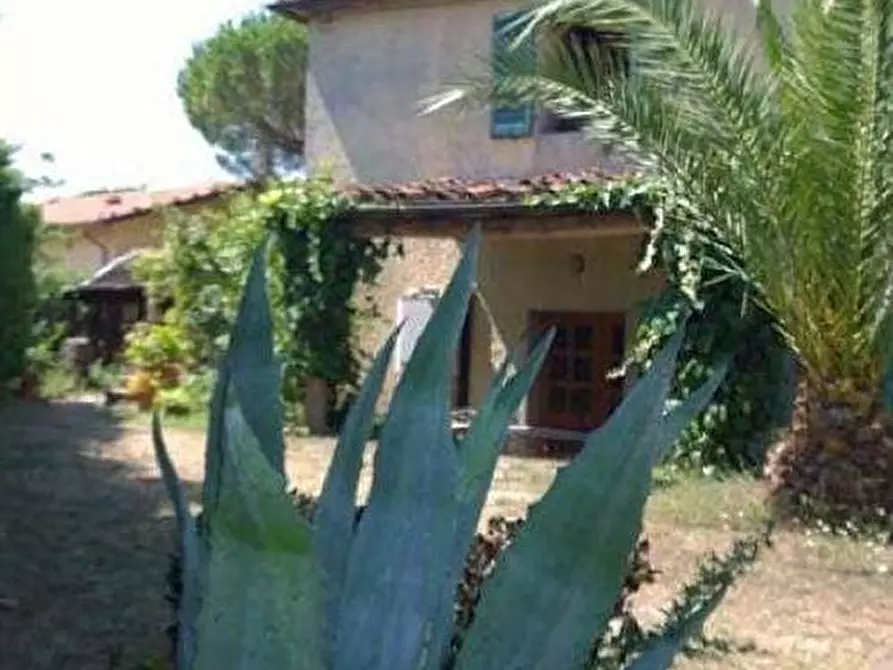 Immagine 3 di Casa colonica in vendita  a Vinci