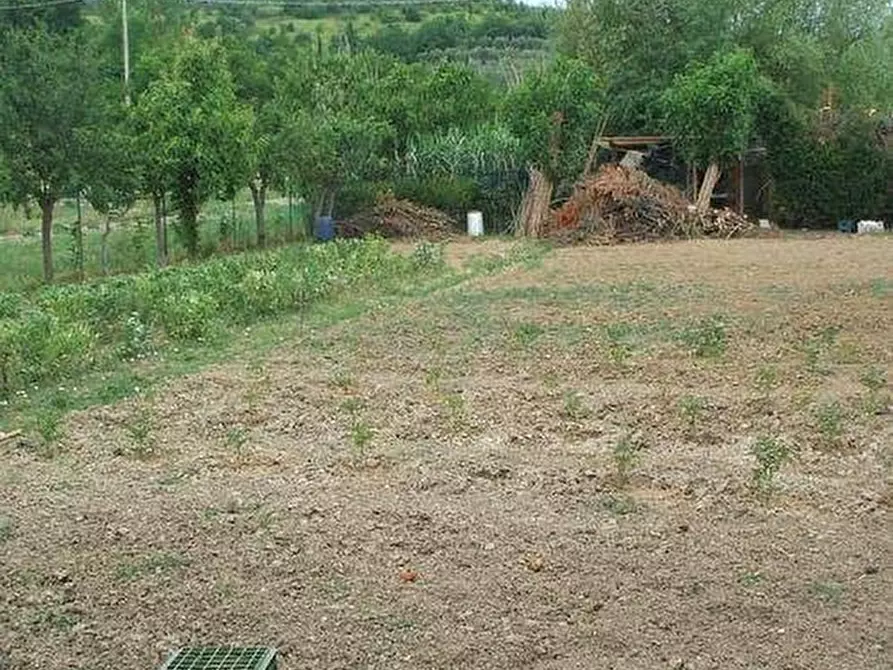 Immagine 2 di Rustico / casale in vendita  a Vinci
