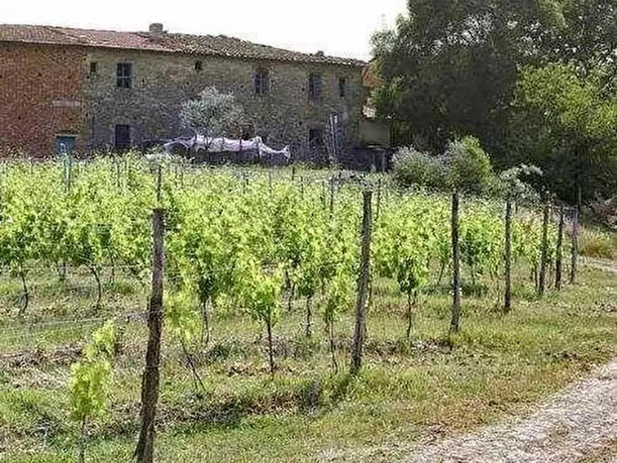Immagine 6 di Casa colonica in vendita  a Vinci