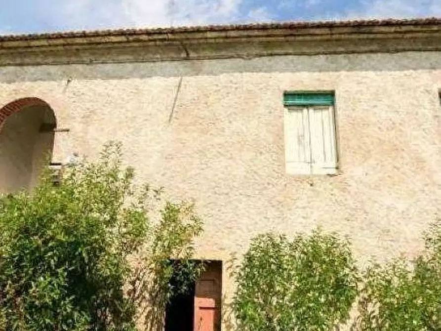 Immagine 2 di Rustico / casale in vendita  a Vinci