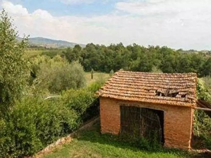 Immagine 3 di Rustico / casale in vendita  a Vinci