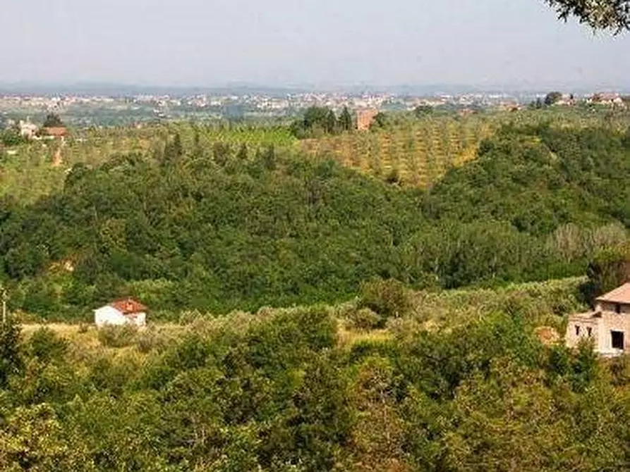 Immagine 5 di Casa colonica in vendita  a Vinci