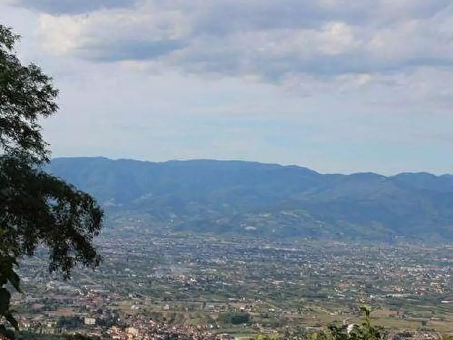 Immagine 3 di Villa in vendita  a Lamporecchio