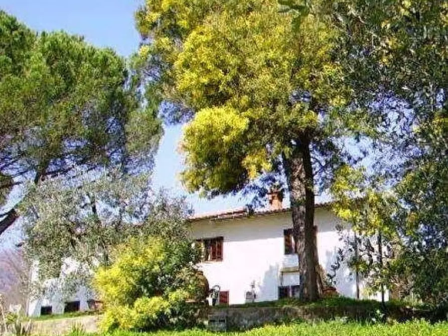 Immagine 2 di Casa colonica in vendita  a Monsummano Terme