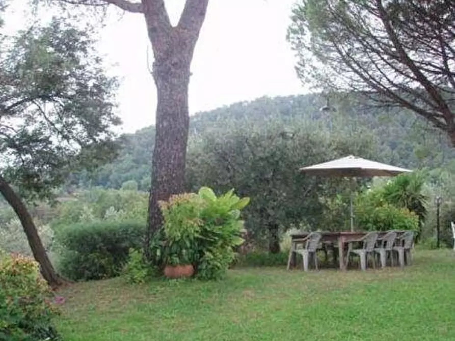 Immagine 4 di Casa colonica in vendita  a Monsummano Terme