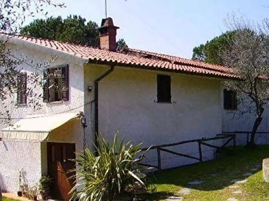 Immagine 5 di Casa colonica in vendita  a Monsummano Terme