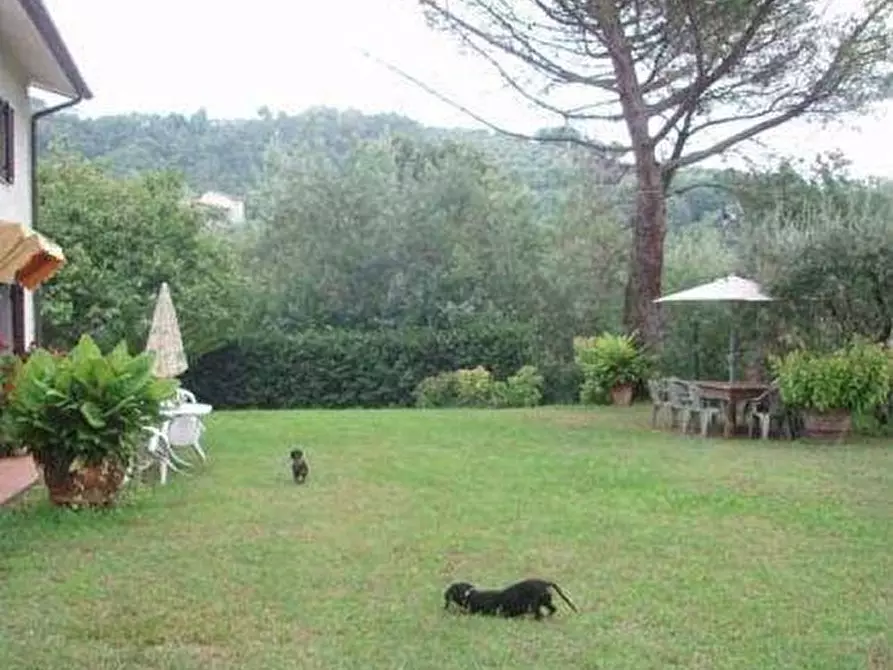 Immagine 3 di Casa colonica in vendita  a Monsummano Terme