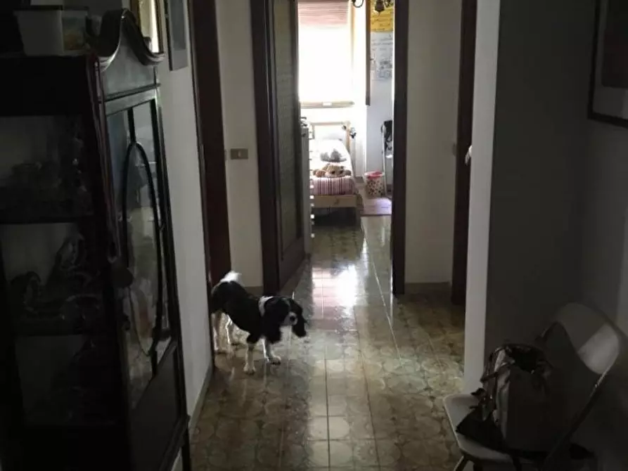 Immagine 8 di Appartamento in vendita  a Massa