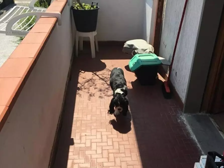 Immagine 6 di Appartamento in vendita  a Massa