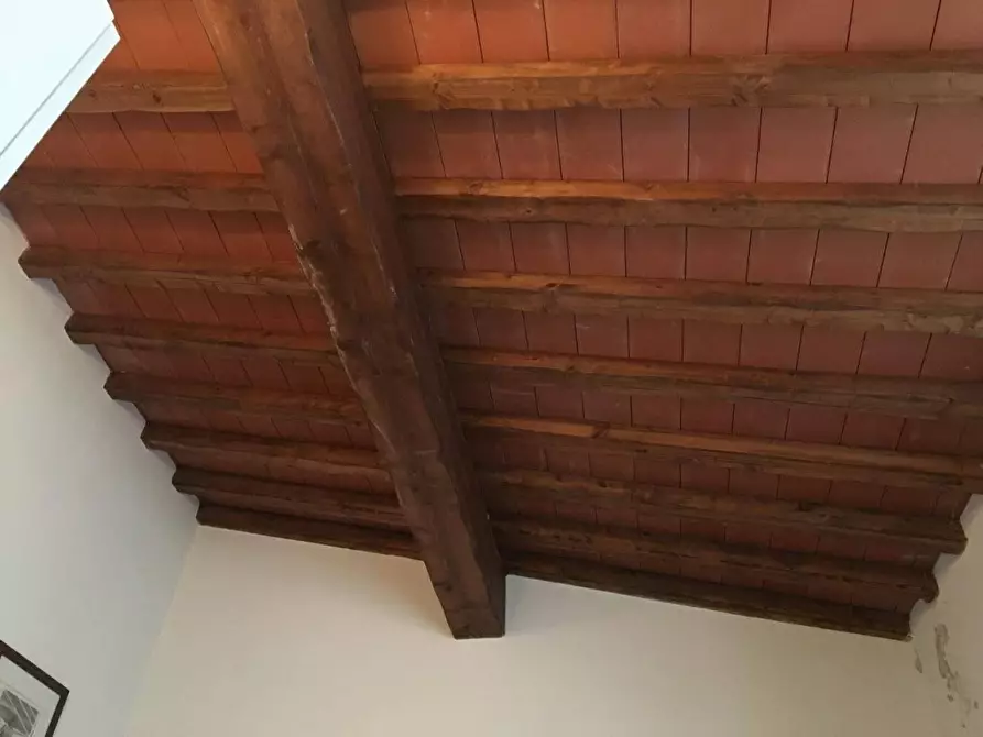 Immagine 9 di Appartamento in vendita  a Massa