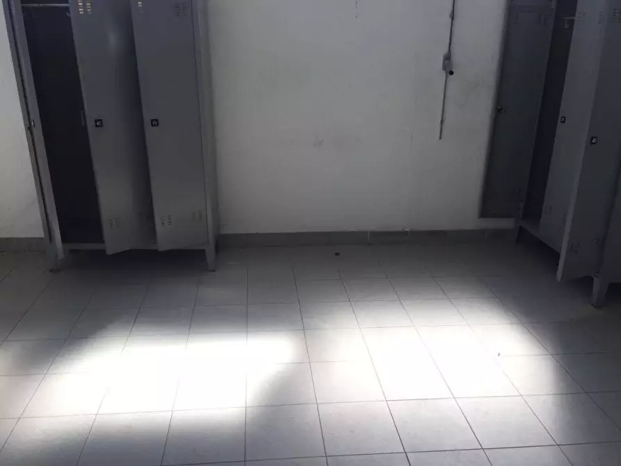 Immagine 10 di Capannone industriale in vendita  a Massa