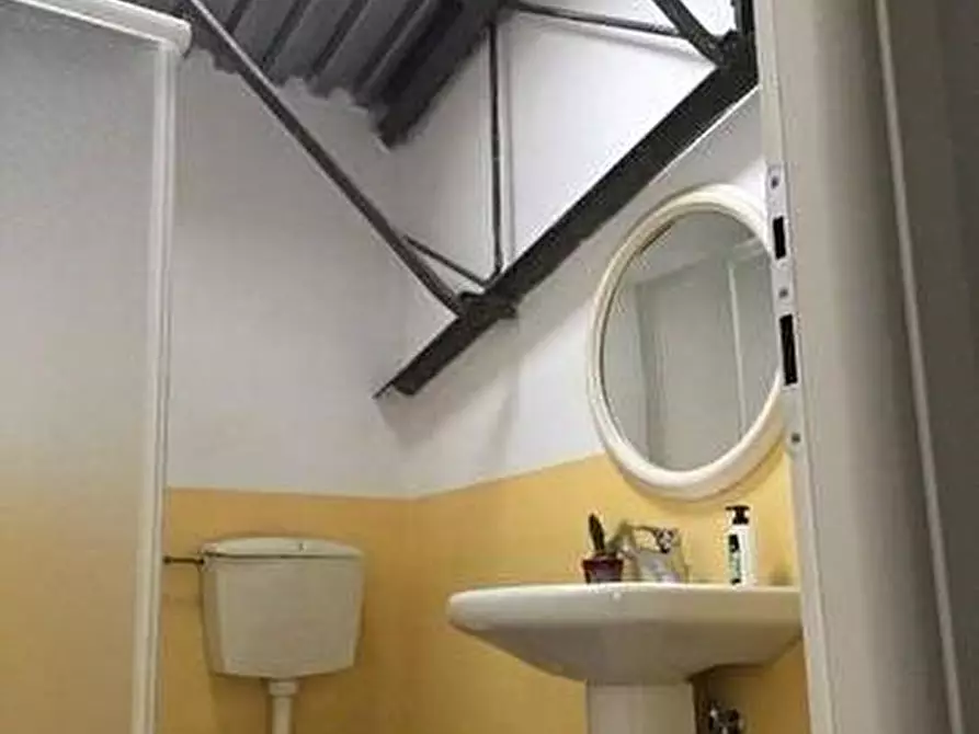 Immagine 4 di Capannone industriale in vendita  a Massa