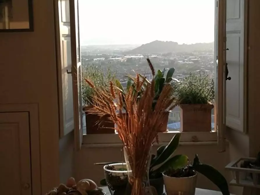 Immagine 4 di Casa indipendente in vendita  a Massa