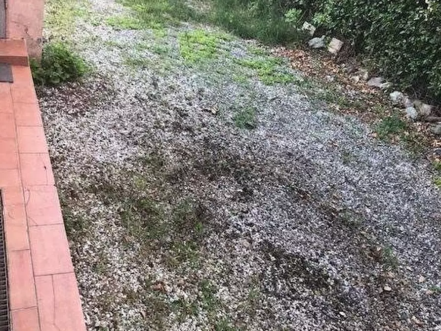 Immagine 4 di Negozio in affitto  a Massa