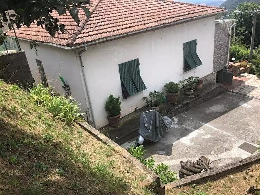 Immagine 3 di Villa in vendita  a Massa