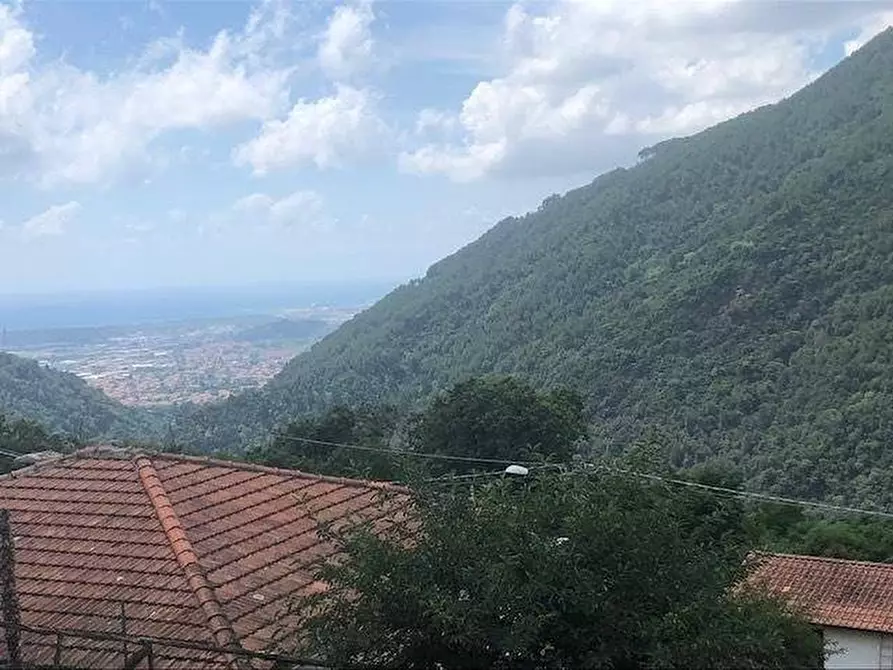 Immagine 1 di Villa in vendita  a Massa